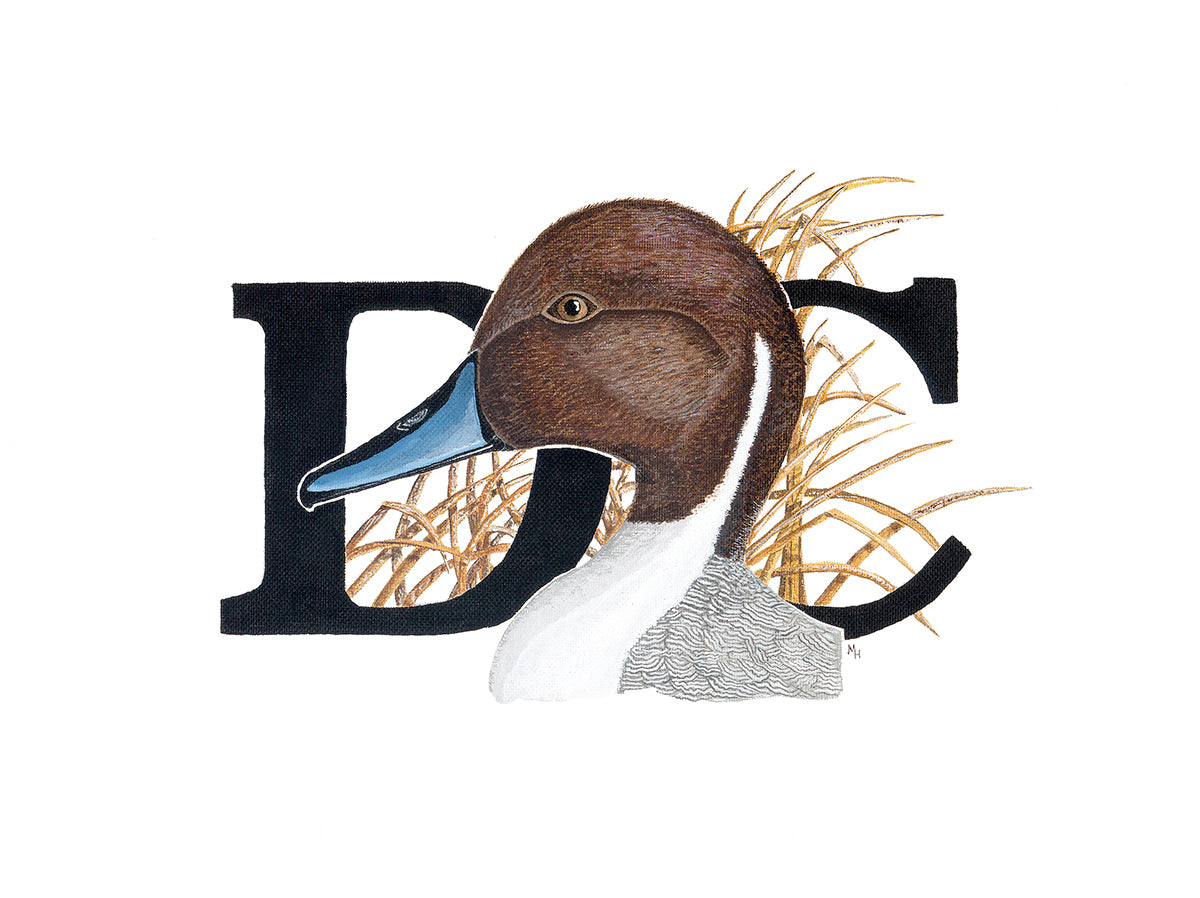 Duck Commander Pintail